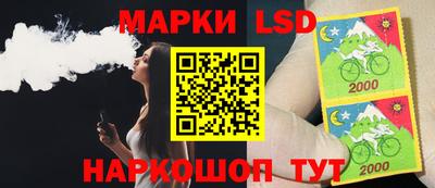 крисы Новодвинск
