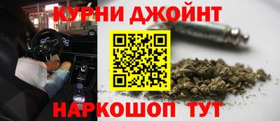 крисы Новодвинск