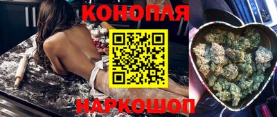 крисы Новодвинск