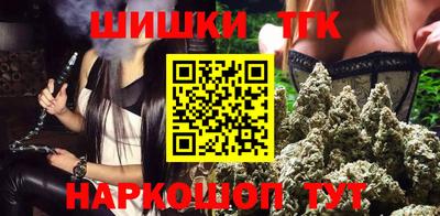 крисы Новодвинск
